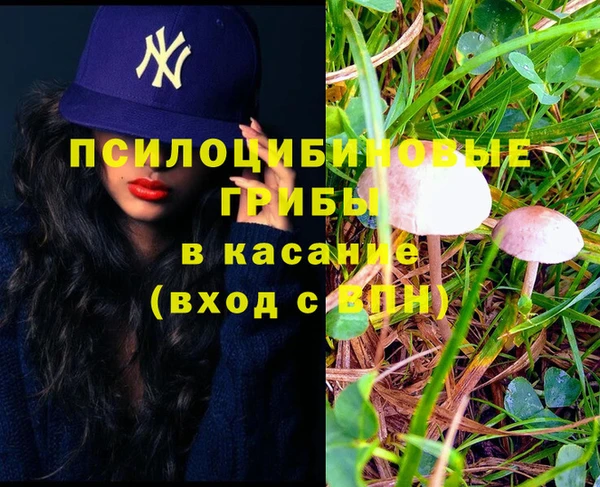 MDMA Premium VHQ Воткинск